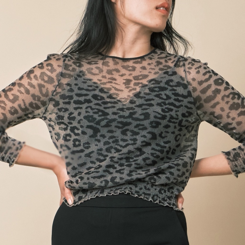 Zara Sheer Leopard Print Top